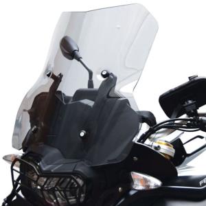 Parabrisas standard BMW F850GS 2018-2021